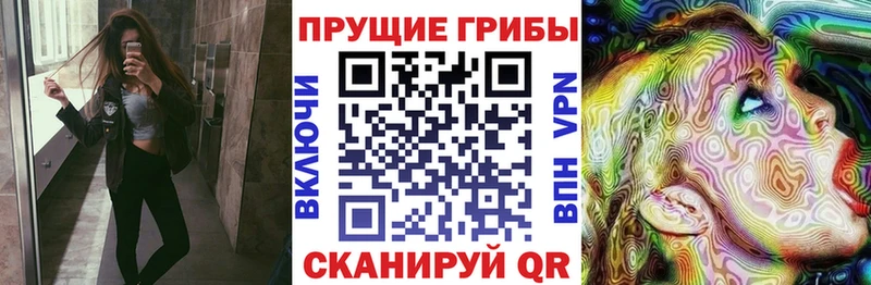 даркнет сайт  Мелеуз  МЕГА ТОР  Галлюциногенные грибы Psilocybe 